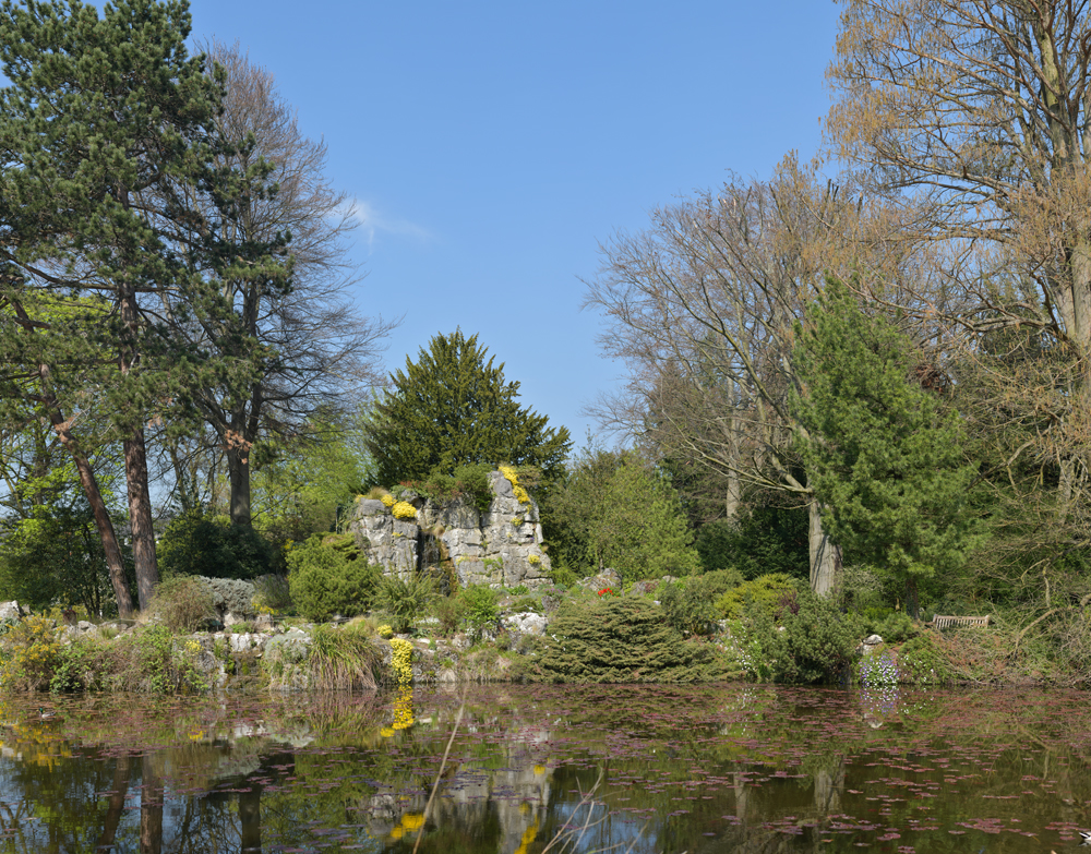 Preview zoo flora teich mit felsen.jpg